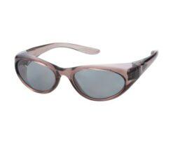 61-2646-90 2 eyes type polarizing Safety Glass Gray TSG-380