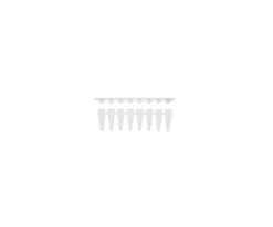 61-4681-07 PCR 8 Strand Tube 0.2mL Transparent with Dome Cap PCR-0208-CP-C