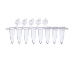 62-0891-05 0.2mL PCR 8 Strand Tube with Flat Cap 137-231C