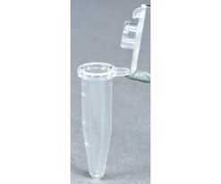 63-2981-42 Low Protein Binding Tube (PCR P-T) 0.5ml 72.704.600