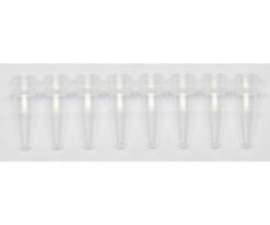 63-2981-93 PCR 8-strand Tube (PCR P-T) 0.2ml 72.985.002