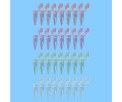 63-2982-02 PCR 8-strand Tube (with Cap) 4 colors MIX 0.2ml 72.991.992
