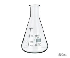 53-0001-62 Erlenmeyer Flask 2000 mL 242000