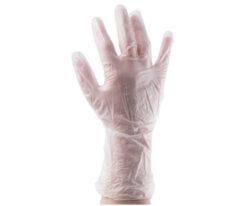 63-8034-27 L Vinyl Disposable Gloves 829-5161